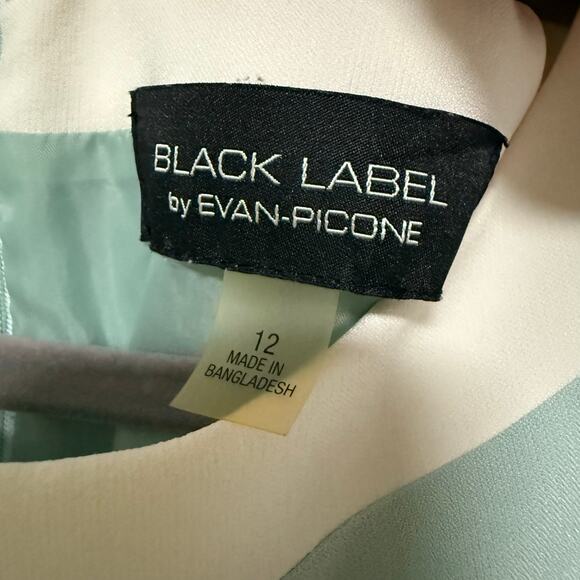 Black Label by Evan Picone  Women's 2 Pcs. Dress Size 8 Jacket Suit Size 12 - Picture 6 of 16